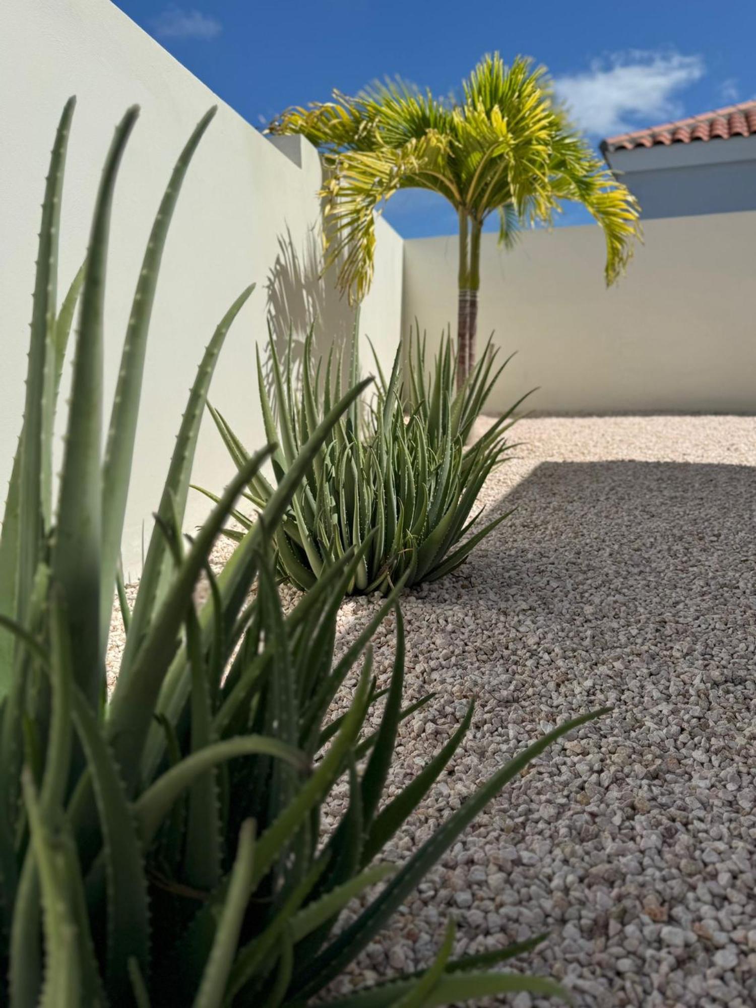 Villa Vista Montana Βίλλεμσταντ Εξωτερικό φωτογραφία